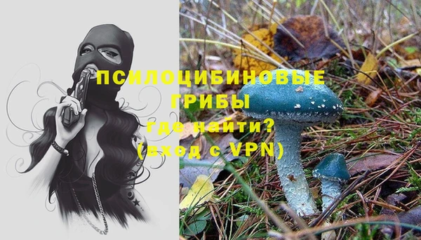 дмт Балабаново