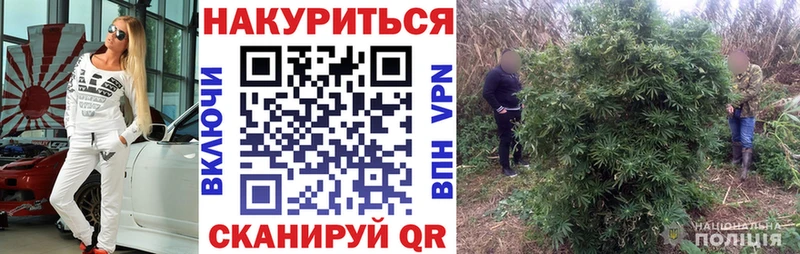 МАРИХУАНА LSD WEED  купить наркоту  Дигора 
